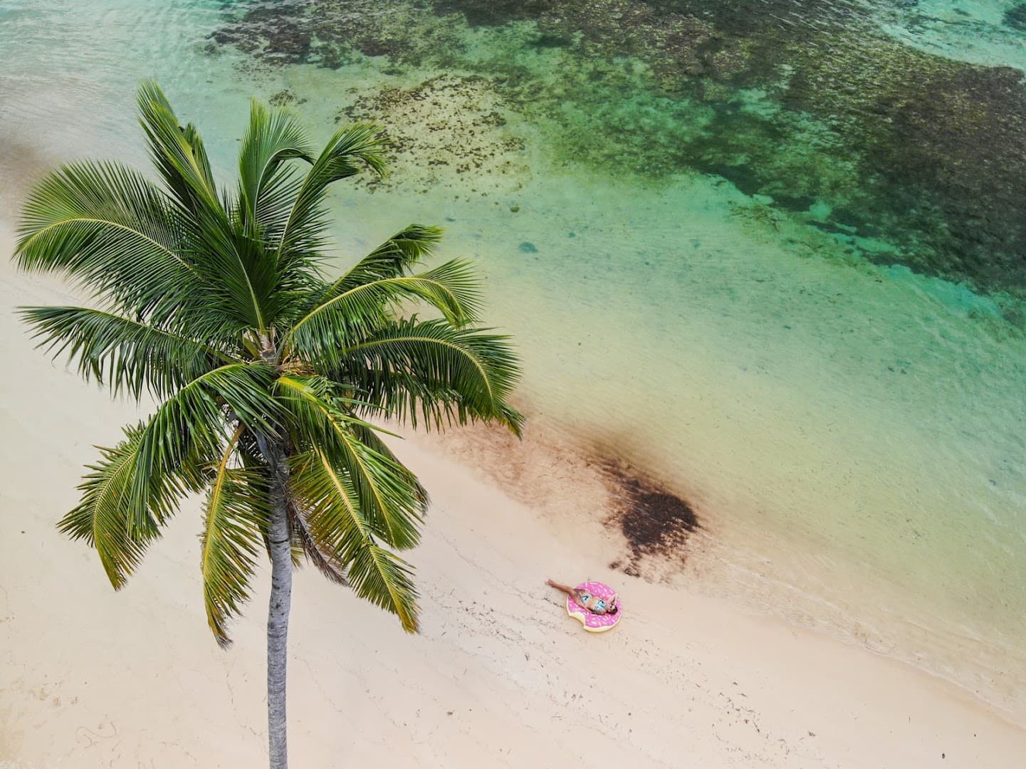 Outdoor Lifestyle Photo Session — Samaná